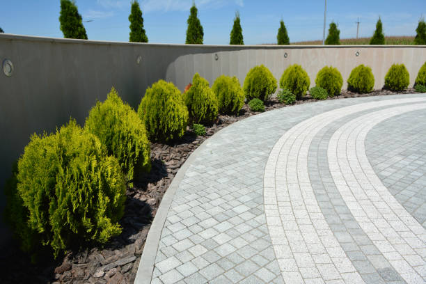 Best Residential Paver Driveway  in Nashotah, WI